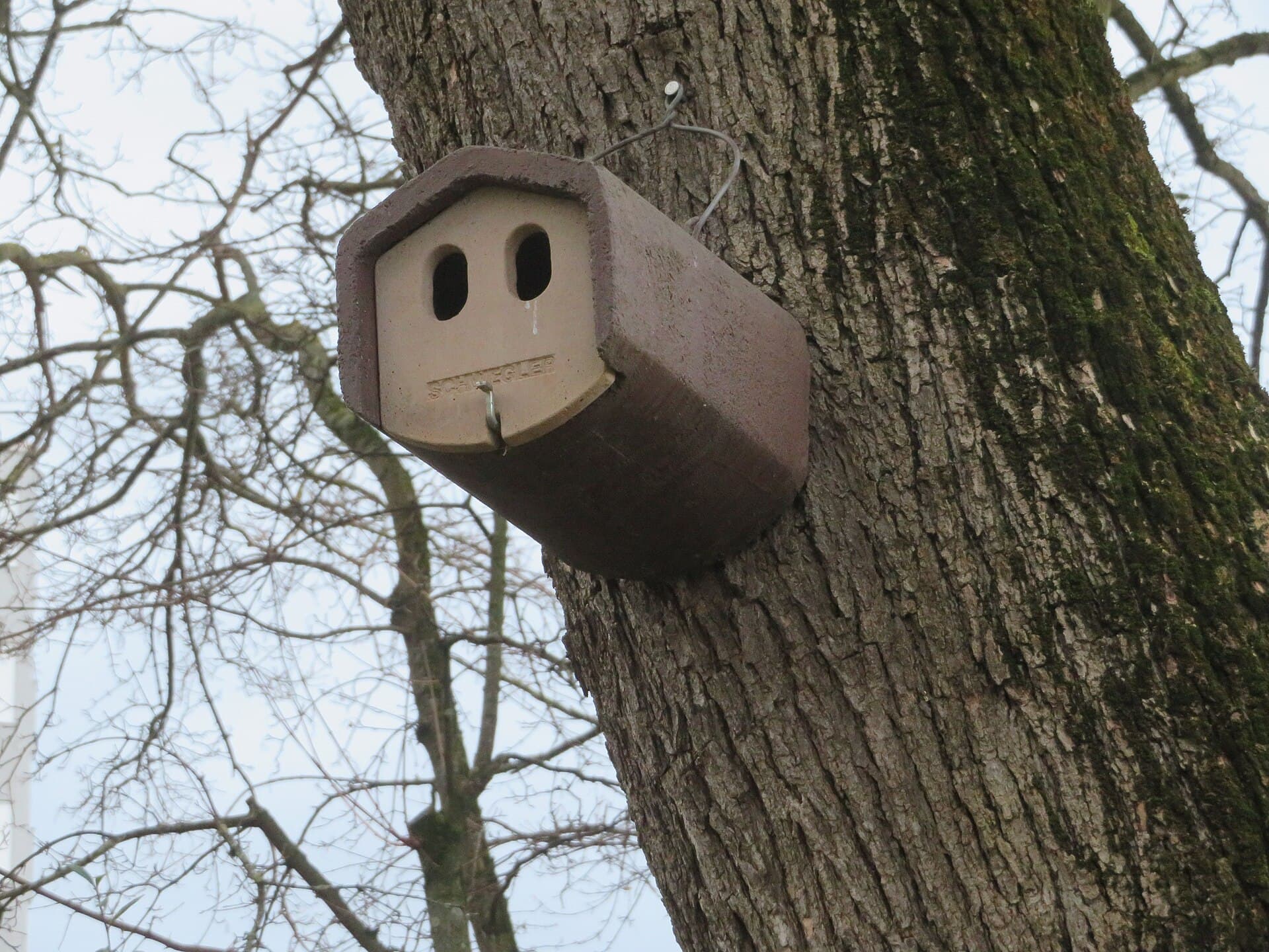 A timber nest box mounted on a tree trunk.