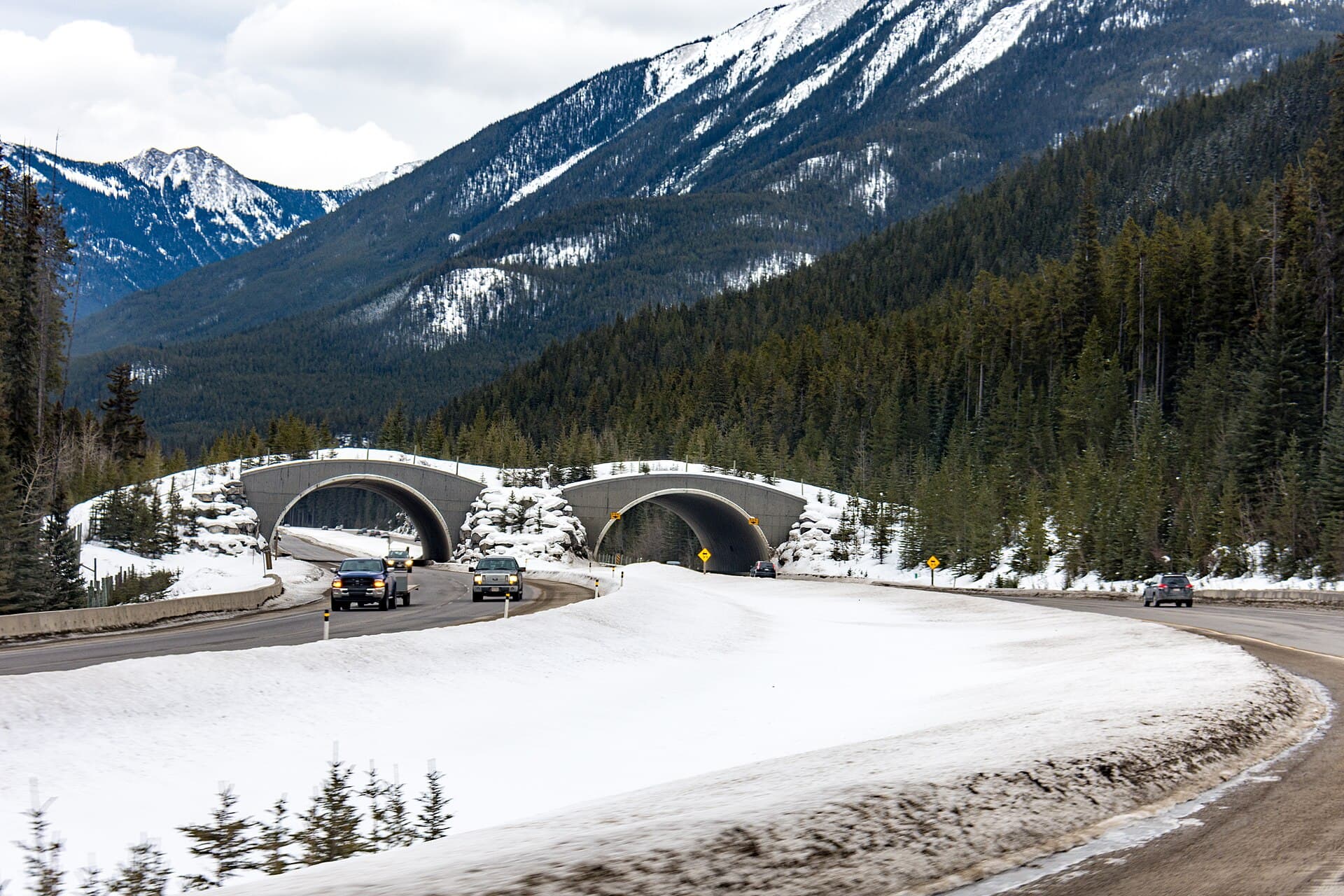 A vegetated wildlife crossing arching over a highway.